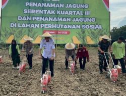 *Dukung Ketahanan Pangan, Kapolda Sultra Bersama Forkopimda Laksanakan Penanaman Jagung Kuartal III di Kabupaten Konawe*