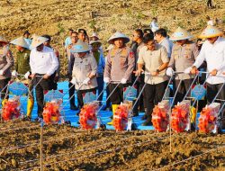 Kapolri: Pembiayaan Hingga Distribusi Jagung Akan Libatkan Koperasi Merah Putih
